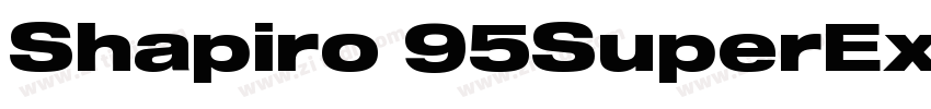Shapiro 95SuperExtd字体转换 Shapiro 95SuperExtd字体转换
